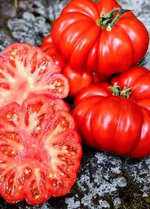 Multicolor Tomato Seeds-No Gmo