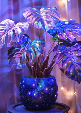 🌿 Cosmic Monstera