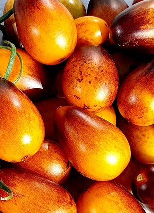 50+ Indigo Pear Drops Tomato Seeds! Heirloom, Open Pollinated, All Natural, Non GMO! Limited Quantity!