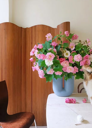 Color-changing Hibiscus Flower Seeds