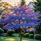 Maple Tree