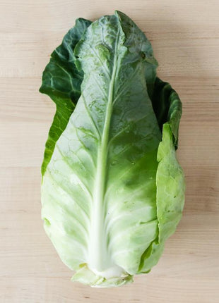 Cabbage Caraflex F1 Organic