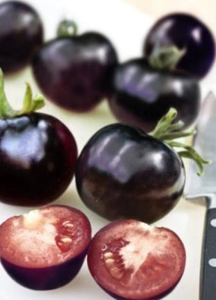 50/100 Organic Indigo Rose Tomato Seeds, Heirloom, Non-GMO, Solanum Lycopersicum