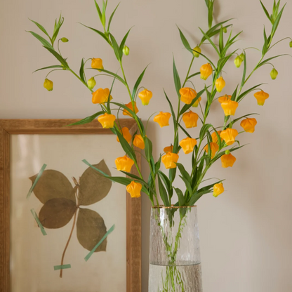 💐Lantern Lily—Christmas Wind Chimes—Christmas Bells—Home Bonsai