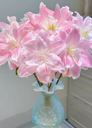 Multicolor Lily Seeds