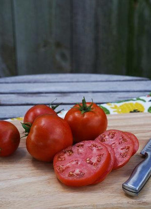 Garden Treasure Tomatoes