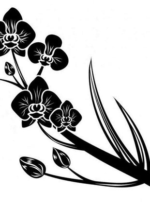 Egrow 50 PCS Rare Black Orchid Flower Seeds Exotic Orchid Home Garden Bonsai Planting Seeds