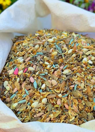 Mixed Perennial Flowers Seeds-Over 80 kinds mixed