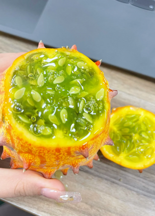 Fire Ginseng Fruit Seeds