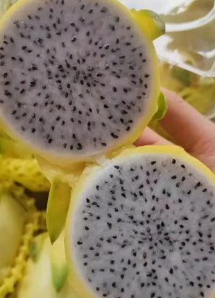 Multi-colored Dragon Fruit Seeds