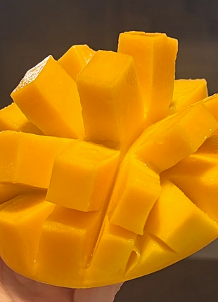 Super Sweet 🥭 Organic Giant Mango Seeds