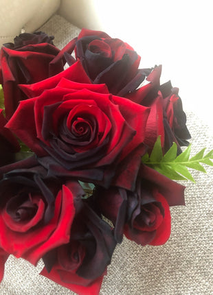 Twin Red Black Rose