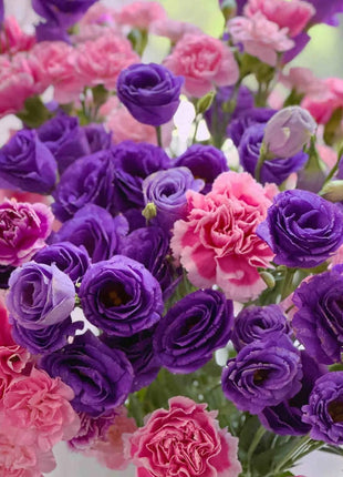 🌺Lisianthus – Sincere Love