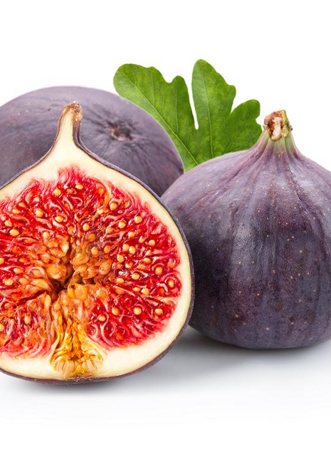 Fig Tree Seeds (Ficus carica), Sweet Fruit Shrub